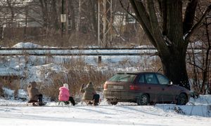Planujesz kulig? Lepiej odpuścić ten pomysł. Łatwo o mandat
