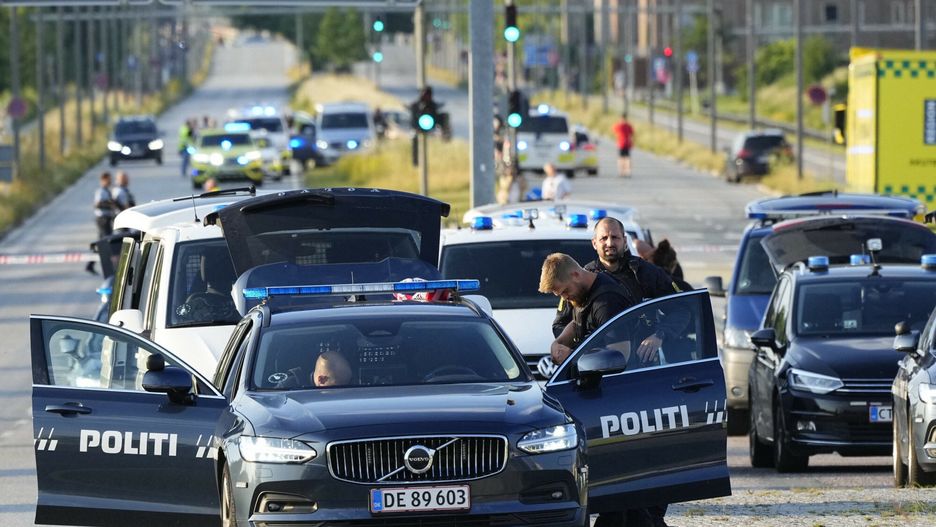 Duńska policja