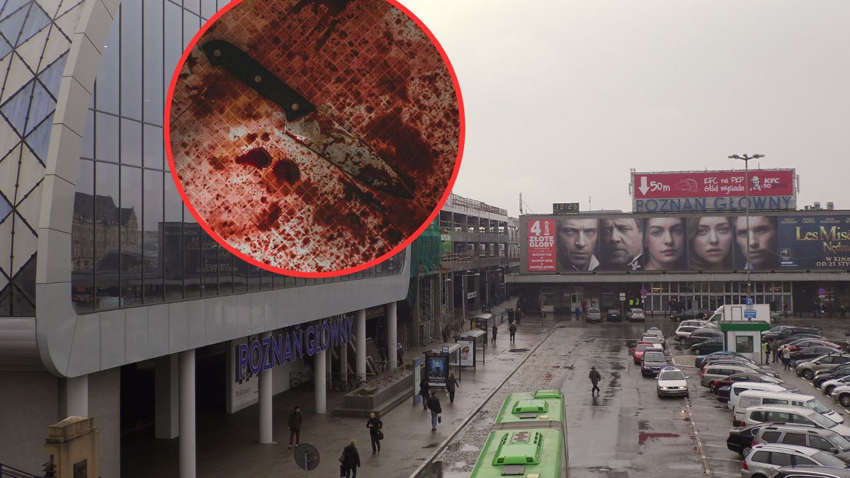 Bezdomny nożownik z Poznania  