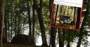 Niefortunny wpis na Facebooku Lasów Państwowych. Internauci oburzeni