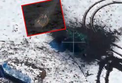 Zostały dwa, trzy miesiące. Krytyczny poziom zapasów Ukrainy