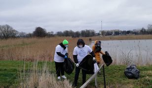 Czysta woda, czyste środowisko - Światowy Dzień Ziemi w praktyce polskich przedsiębiorstw