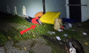 "Pokaż ręce, bo użyję psa!" Policjant się nie wahał. Wszystko nagrano