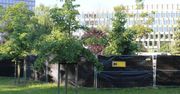 Zamknęli skatepark na lato – ZZM tłumaczy się z decyzji, która oburzyła mieszkańców