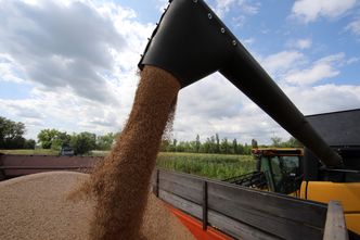 Zakaz importu zboża. Bank Ukrainy odpowiada na działania polskiego rządu