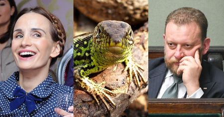 Viola Kołakowska z sympatią o ministrze Szumowskim: "Ten JASZCZUR chce wykończyć psychicznie nasze dzieci"