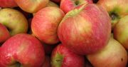 Surowe jabłka Gala ze skórką