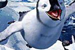 Śpiewające pingwiny nie dają za wygraną