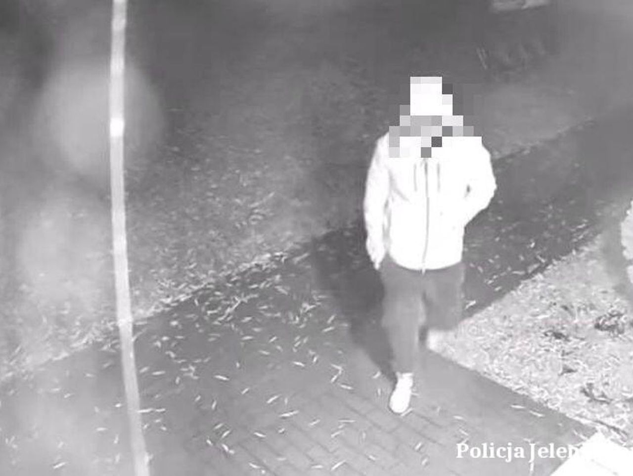 Jelenia Góra: Z zemsty uszkodził kamery monitoringu. I tak został nagrany