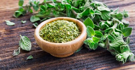 Lebiodka pospolita (oregano) - skład, właściwości lecznicze, zastosowanie w kuchni