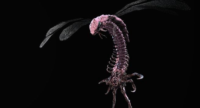 Owady to doskonałe źródło pożywienia i doskonały nawóz do uprawy roślin