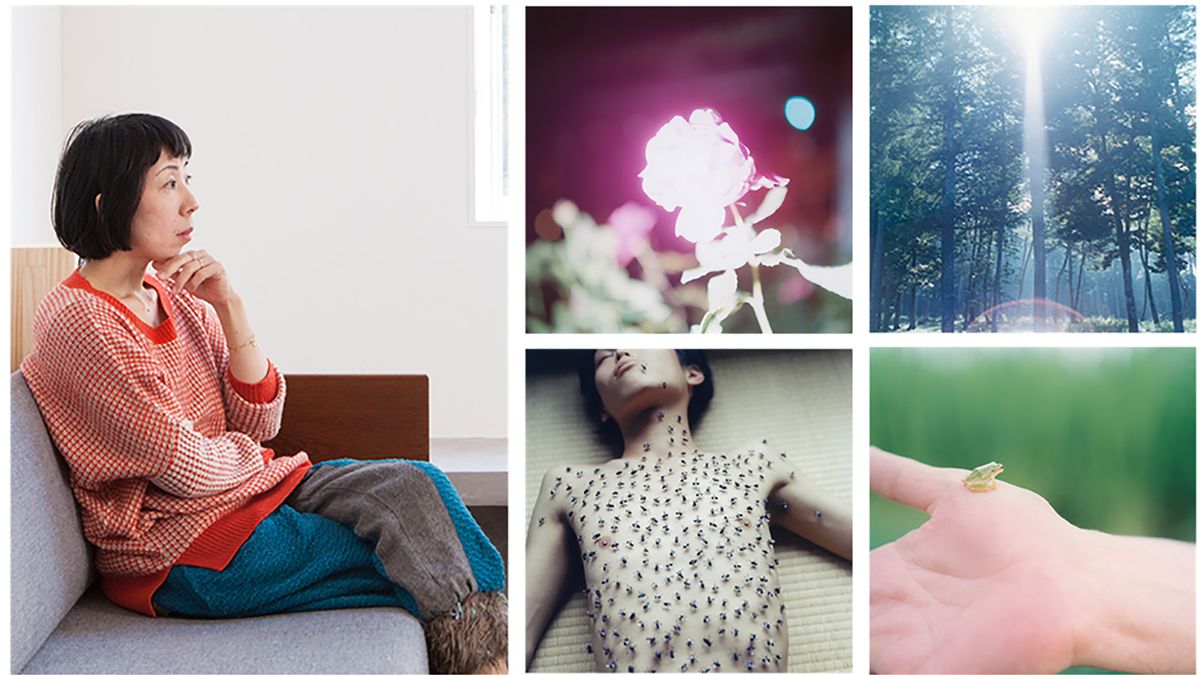 Rinka Kawauchi odznaczona za wybitny wkład w fotografię.