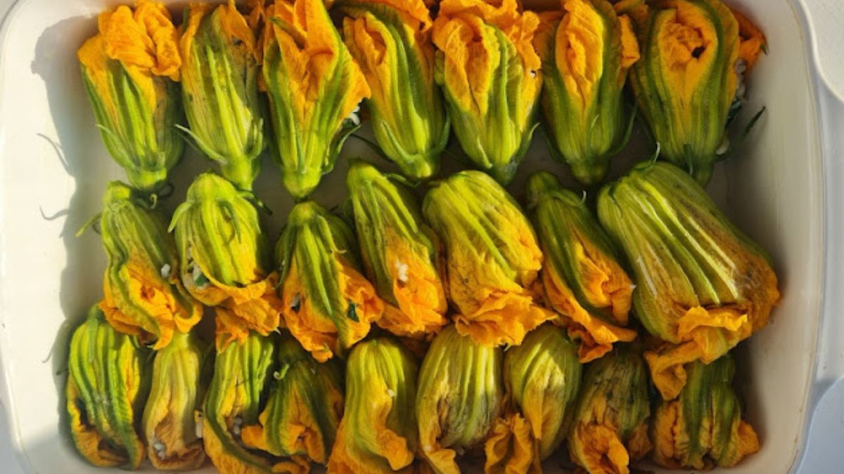 Kwiaty cukinii  - Pyszności