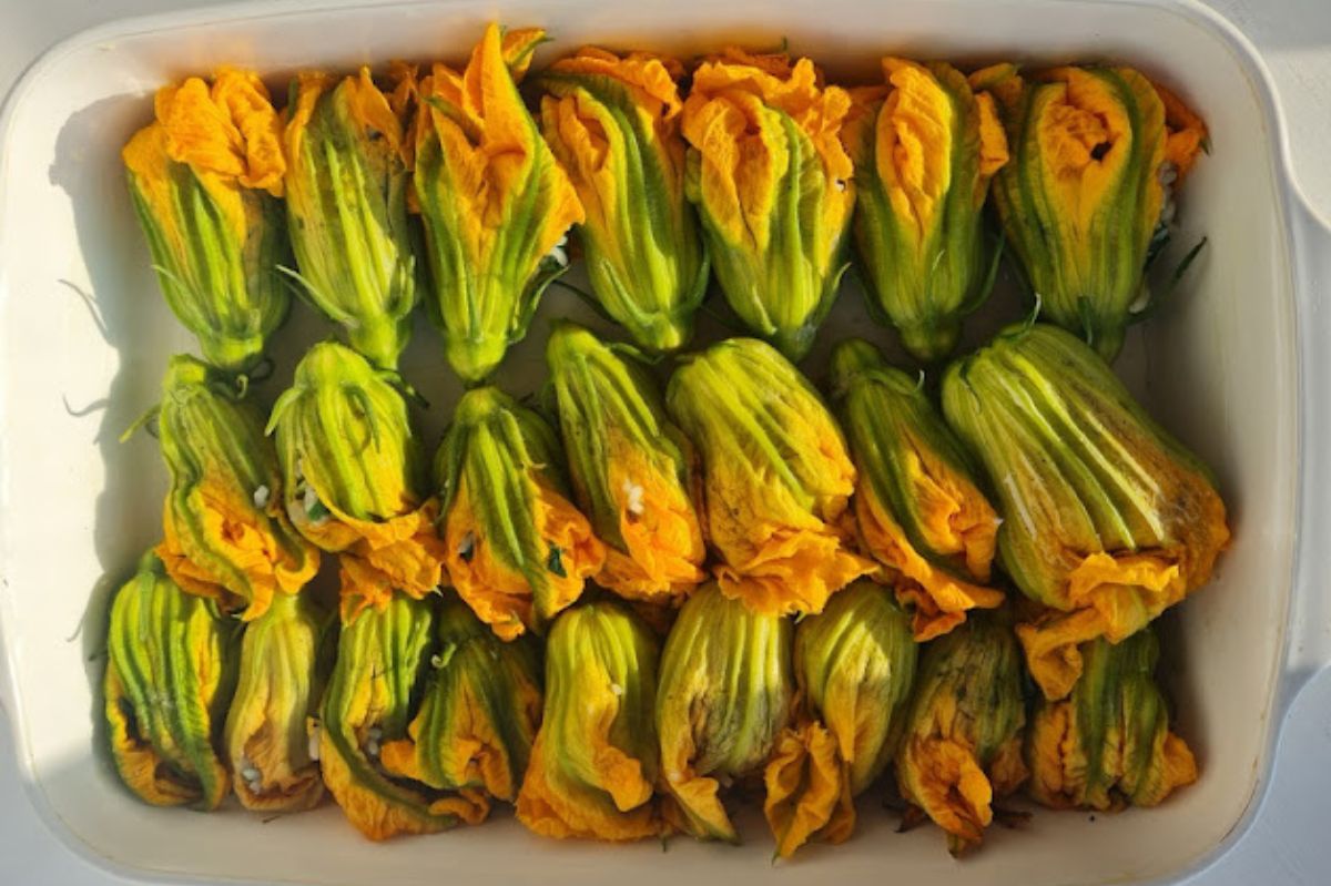 Discover the charm of zucchini flowers