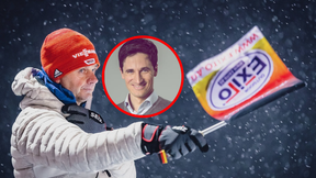Z Niemiec do Polski. Schmitt skomentował decyzję Horngachera