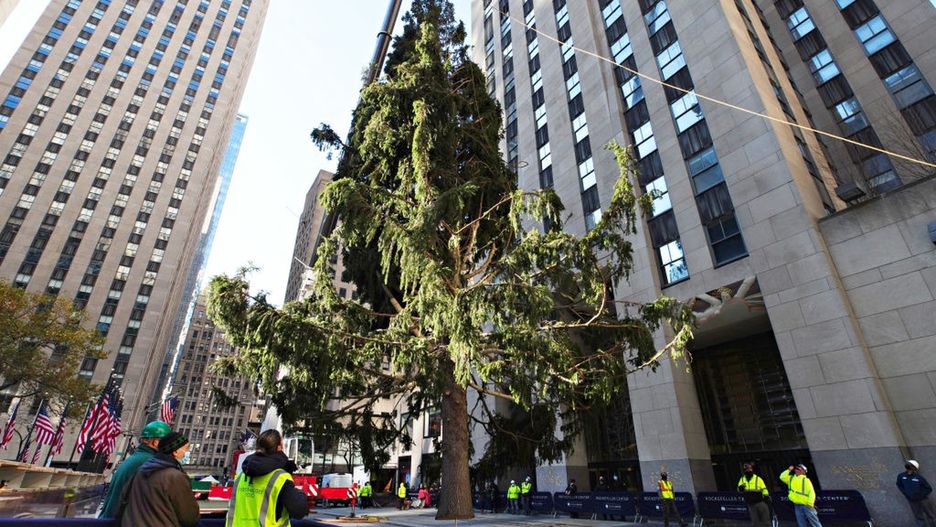 Choinka Rockeffeler Center