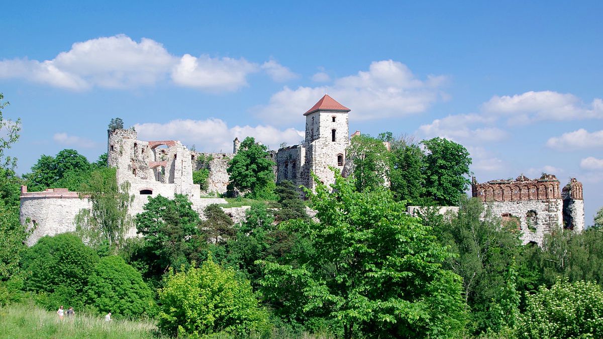 Włamywacze, a właściwie grupa młodych chłopów, zgłosiła się dobrowolnie do opiekunów zamku, przyznając się do winy i wyrażając skruchę