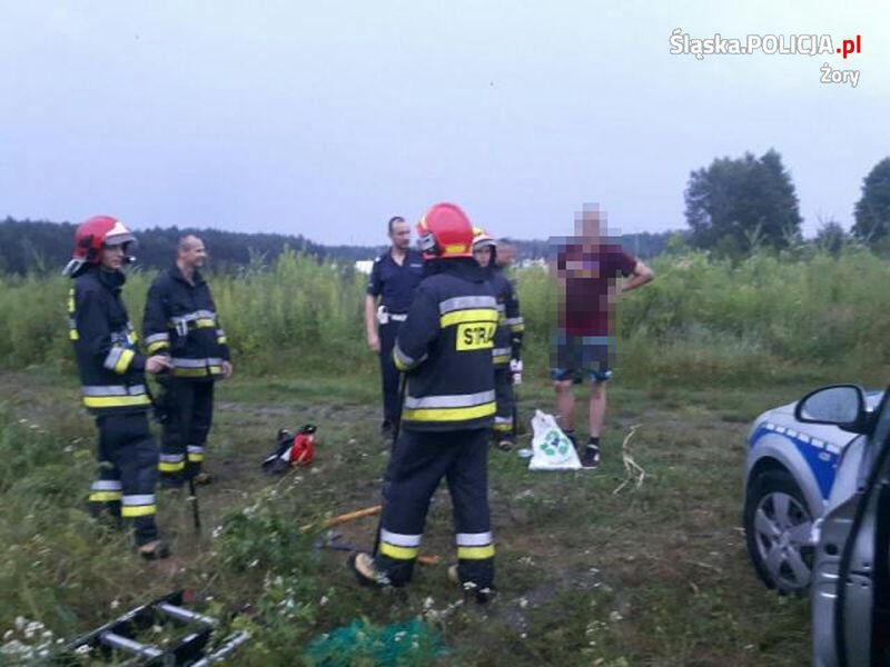 Zdarzenie z udziałem dzika w Żorach