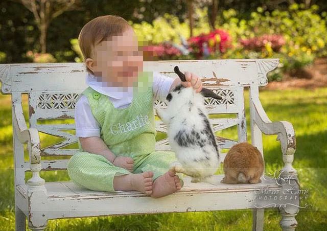 Grożono mu śmiercią, bo wziął do sesji żywe zwierzęta 6