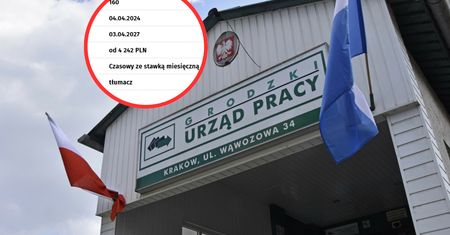 Wymagają znajomości pięciu języków. Stawka? Lepiej usiądźcie