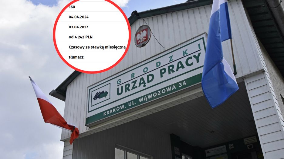 Grodzki Urząd Pracy udostępnił ogłoszenie o pracę w międzynarodowym przedszkolu i żłobku