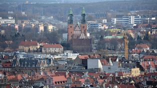 Pogoda w Poznaniu. Prognoza na poniedziałek 24 listopada. Chłodno i sucho, lokalnie mgliście