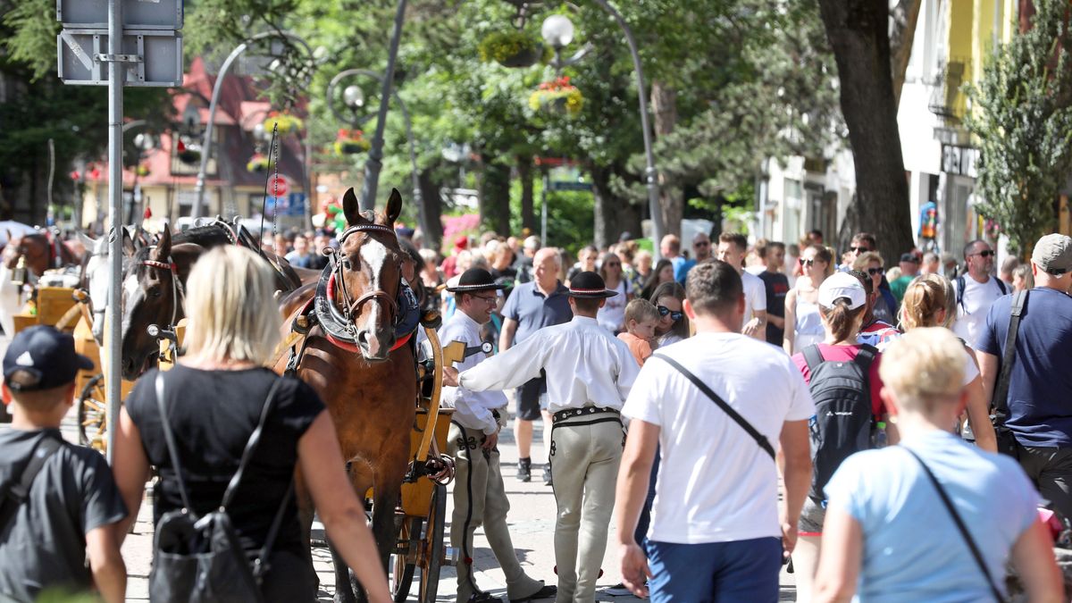 Bon turystyczny. Na razie stosunkowo niewiele firm zarejestrowało się w systemie.