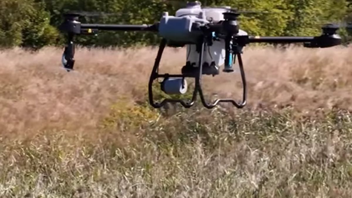  Wrocław uruchomił pilotażowy program odkomarzania z użyciem dronów