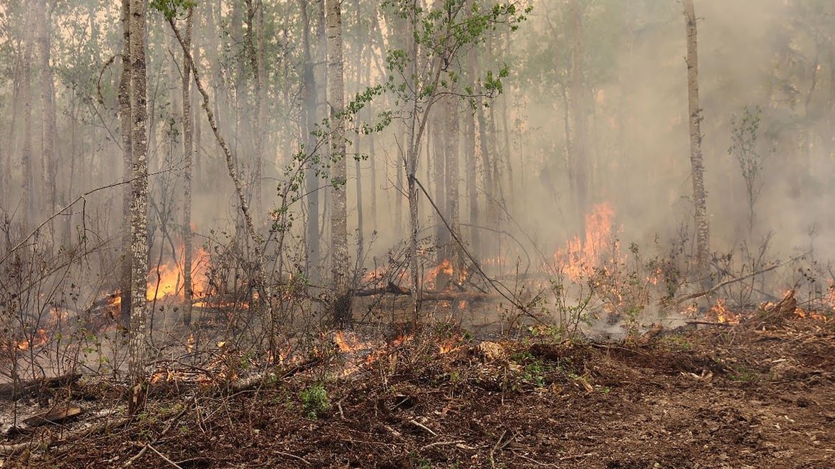 pożary lasów w Kanadzie