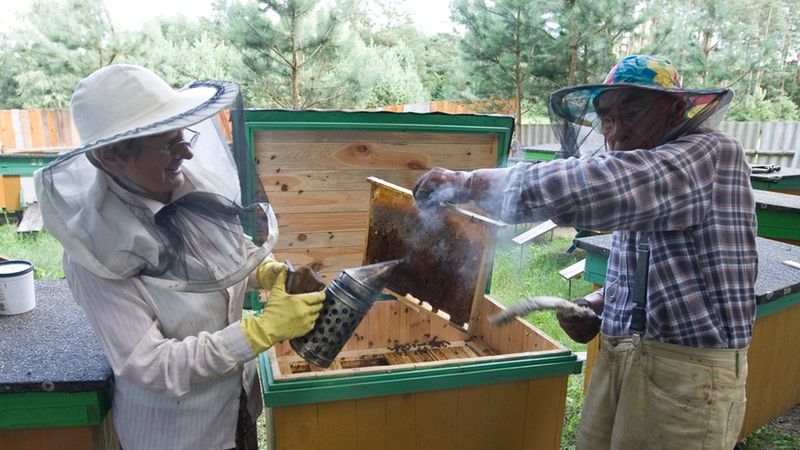 Okazuje się, że Polska jest krainą miodem płynącą