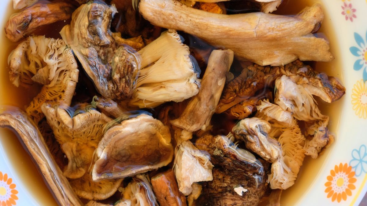Suszone grzyby