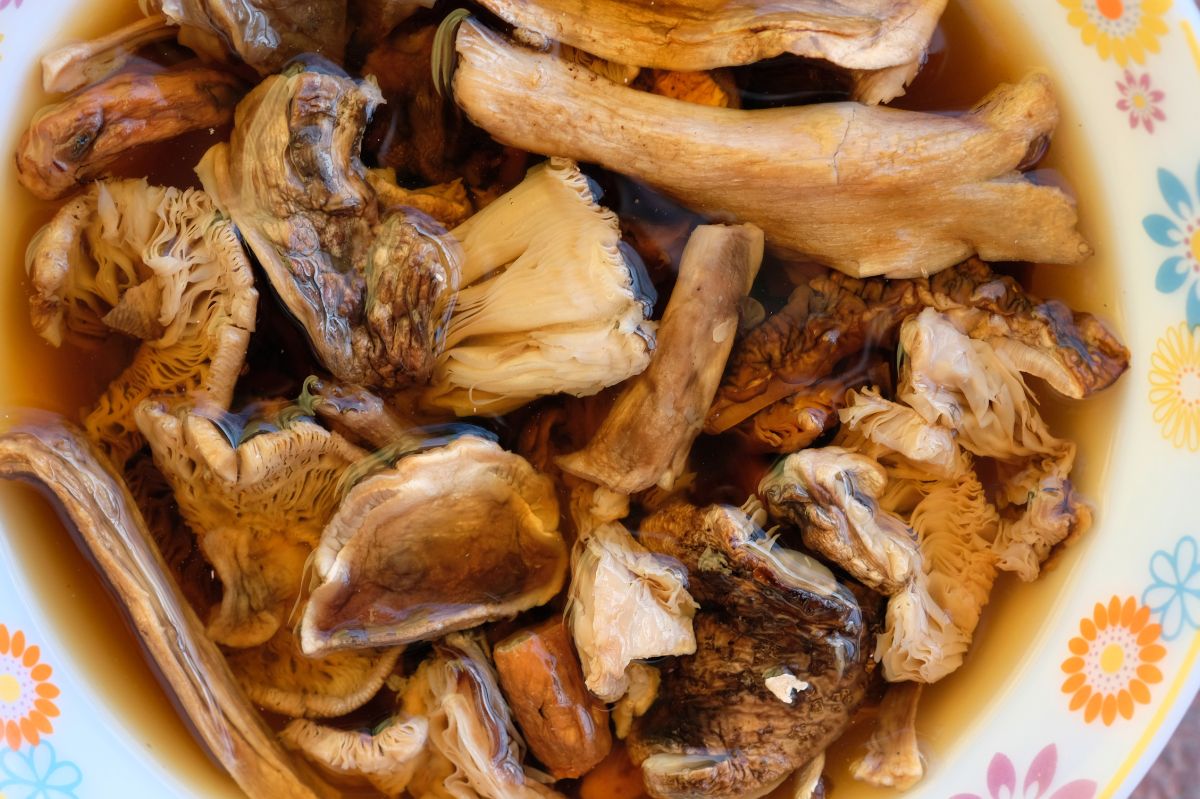 Wiesz, ile naprawdę gotować suszone grzyby? Wielu popełnia błąd i tracą smak oraz aromat