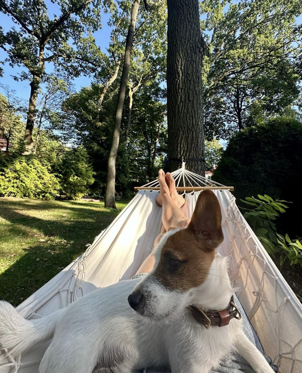 Damian Michałowski na hamaku z psem