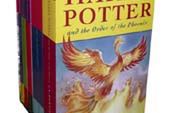 Harry Potter zdobywa polskie biblioteki