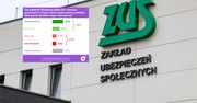 2 grosze emerytury z ZUS. Oto co sądzą Polacy