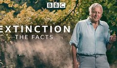 Cykl programów o tematyce ekologicznej w BBC Earth