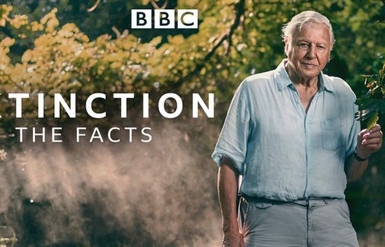 Cykl programów o tematyce ekologicznej w BBC Earth