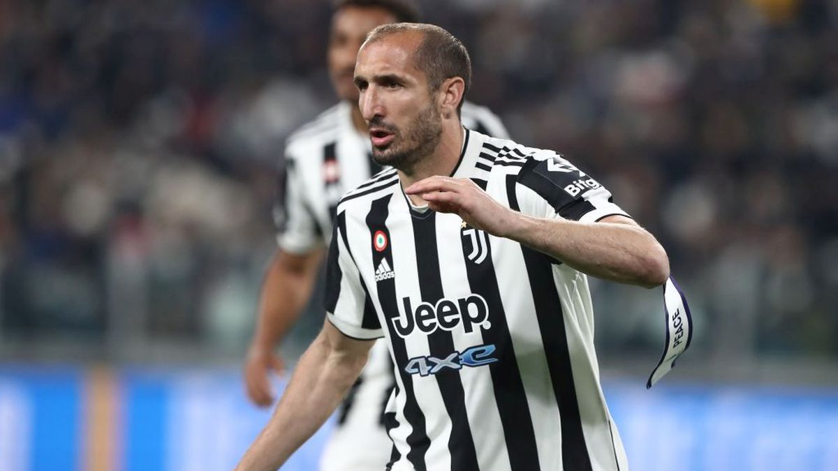 Getty Images / Marco Luzzani / Na zdjęciu: Giorgio Chiellini