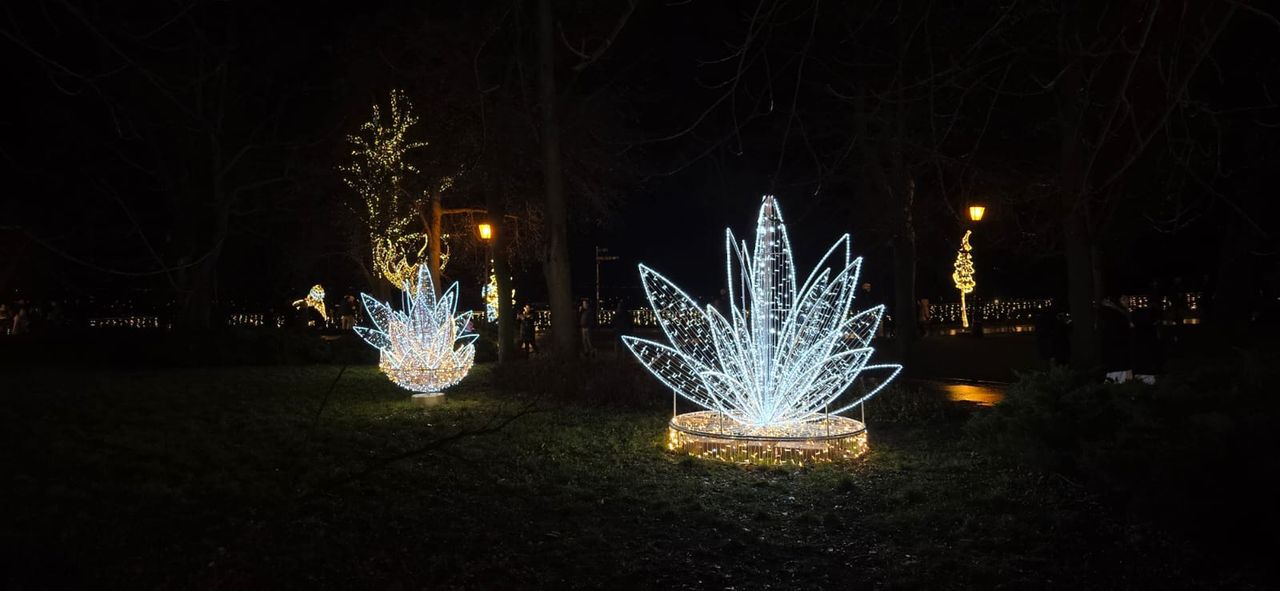 Płockie Ogrody Światła