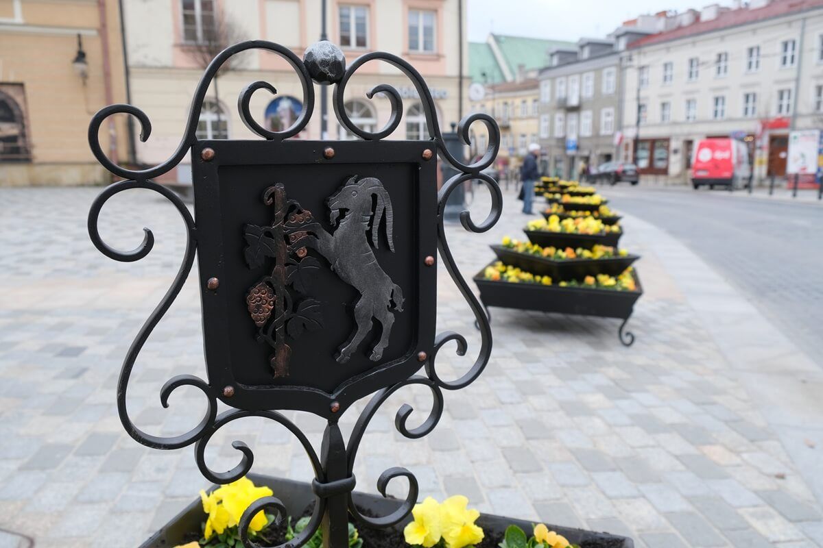 Bratki w nowych donicach przed Bramą Krakowską w Lublinie