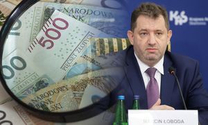 Tyle kosztuje państwo ściąganie podatków. Szef KAS ujawnia