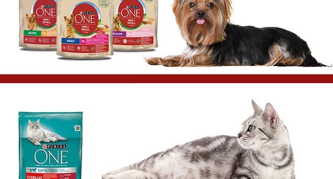 Streetcom wygrywa przetarg marki Purina One