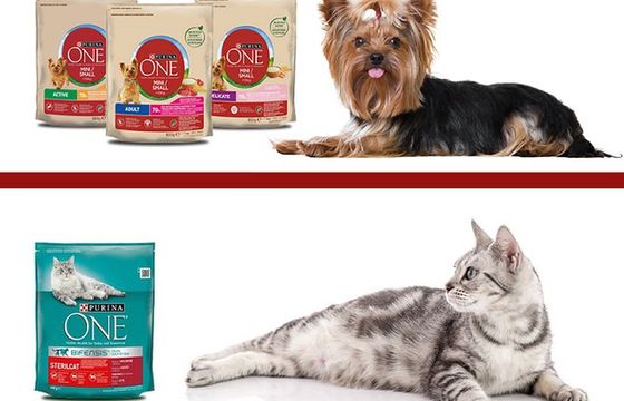 Streetcom wygrywa przetarg marki Purina One