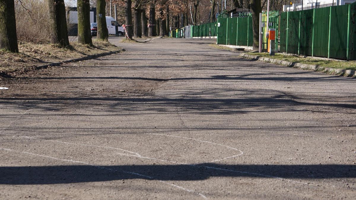 Chorzów: w Parku Śląskim zabito mężczyznę. Zdjęcie z miejsca tragicznego zdarzenia 