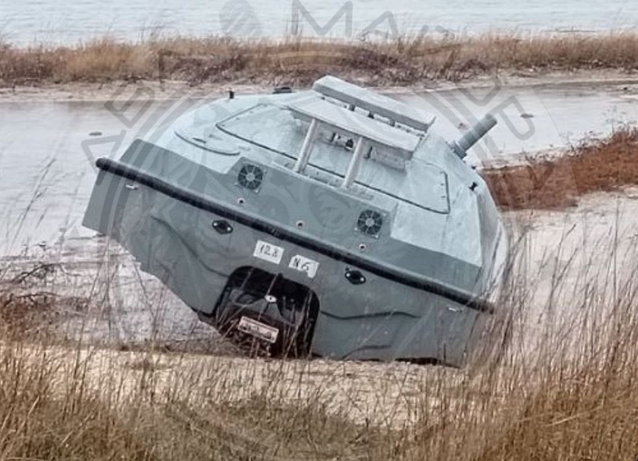 Rosjanie znaleźli go na plaży. Mieli sporo szczęścia