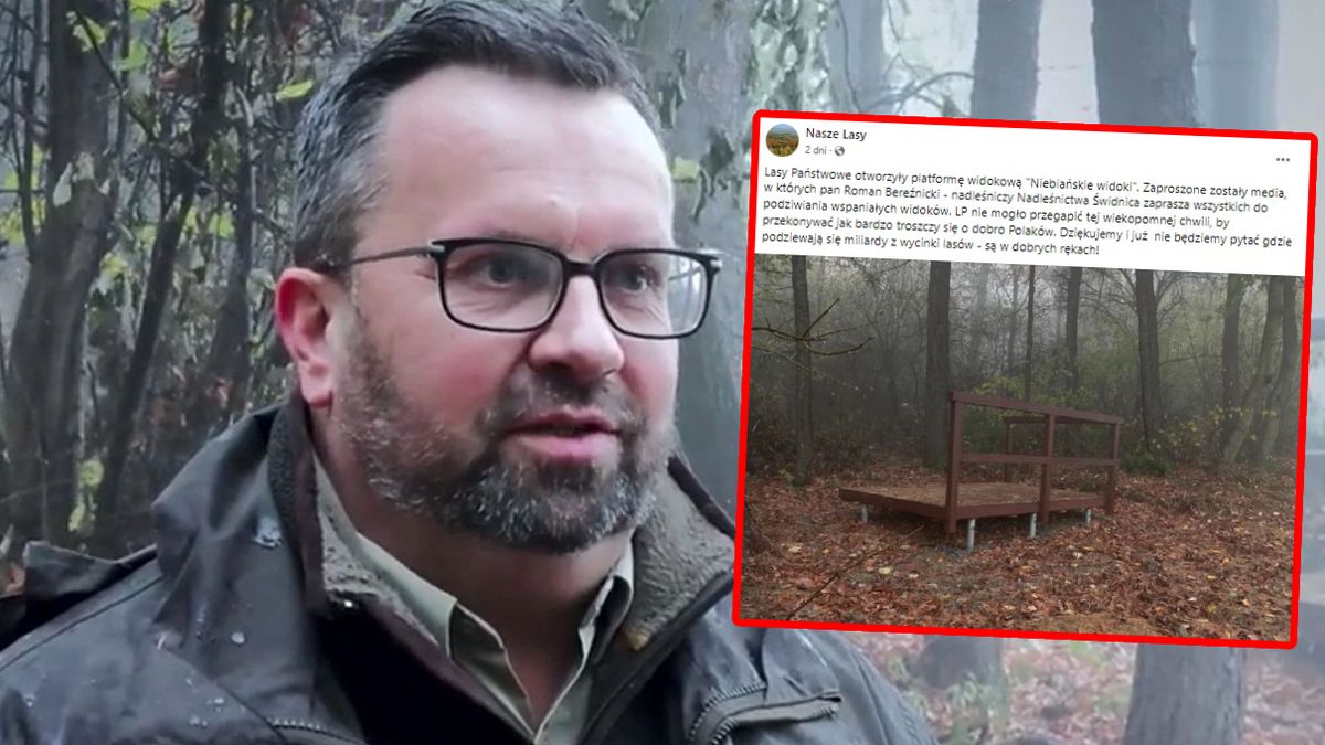 Platforma widokowa w Myśliszowie rozbawiła internautów