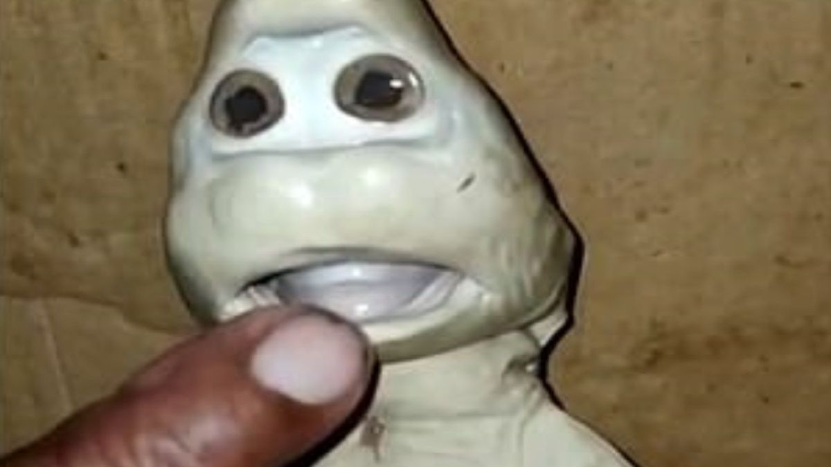 Rekin "z ludzką twarzą" został wyłowiony przez rybaka z Indonezji 