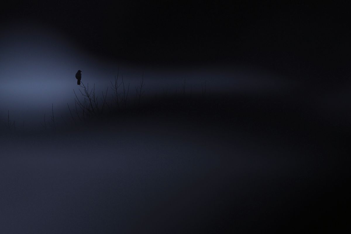 10 Polaków wśród laureatów Chromatic Photo Awards 2018! 7