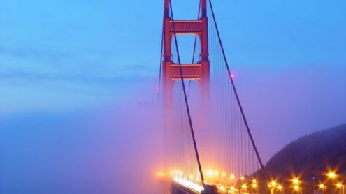 Karboreksja - obsesja ekologiczna czy odmiana minimalizmu konsumpcyjnego? 1