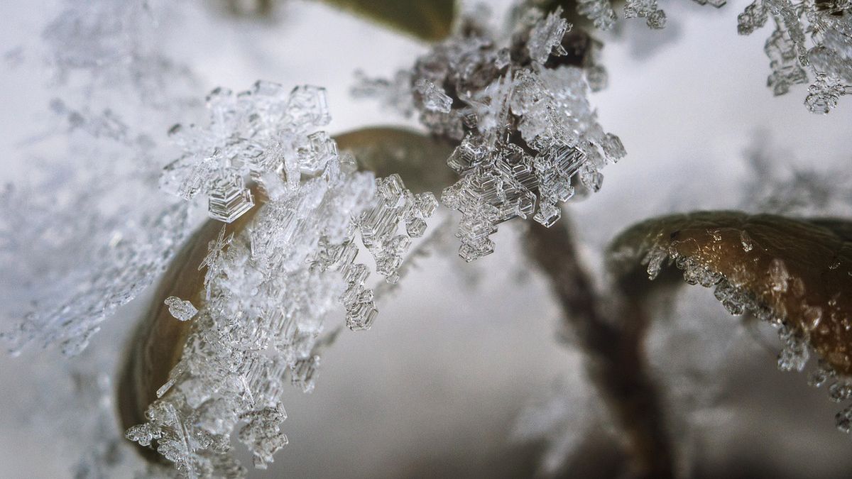W sobotę zima i mrozy nie odpuszczą